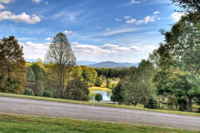 a view of mountain and tree