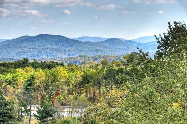 a view of mountain and tree