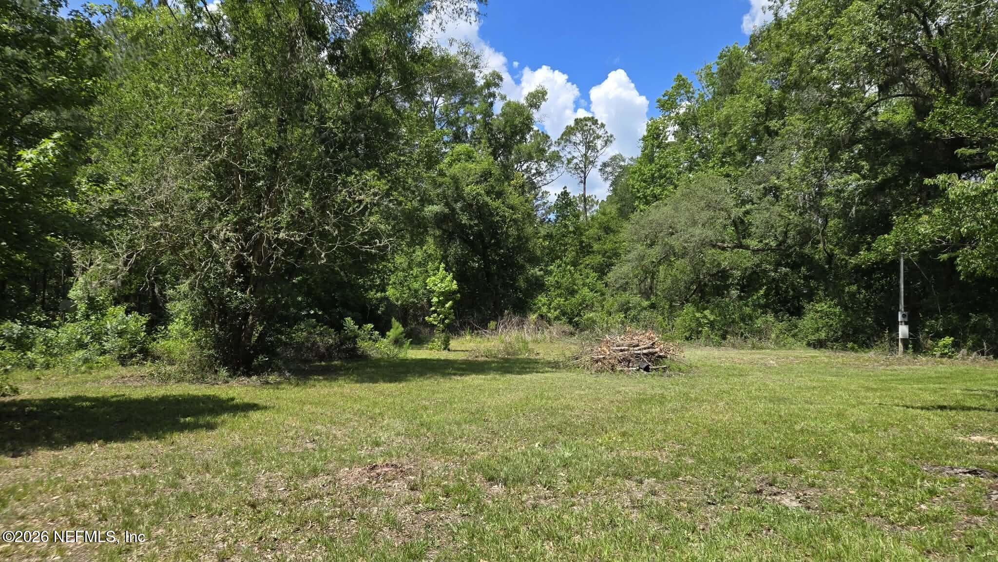 3923 Skipper Road Middleburg, FL 32068 - Photo 13 of 25 a big yard with lots of green space and deers