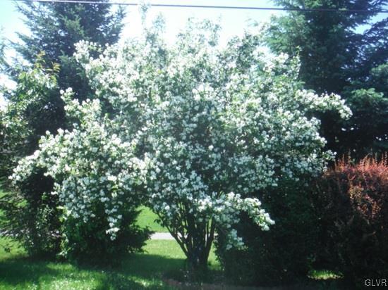 638 Arndt Road Easton, PA 18040 - Photo 27 of 35 Gallery Image 27