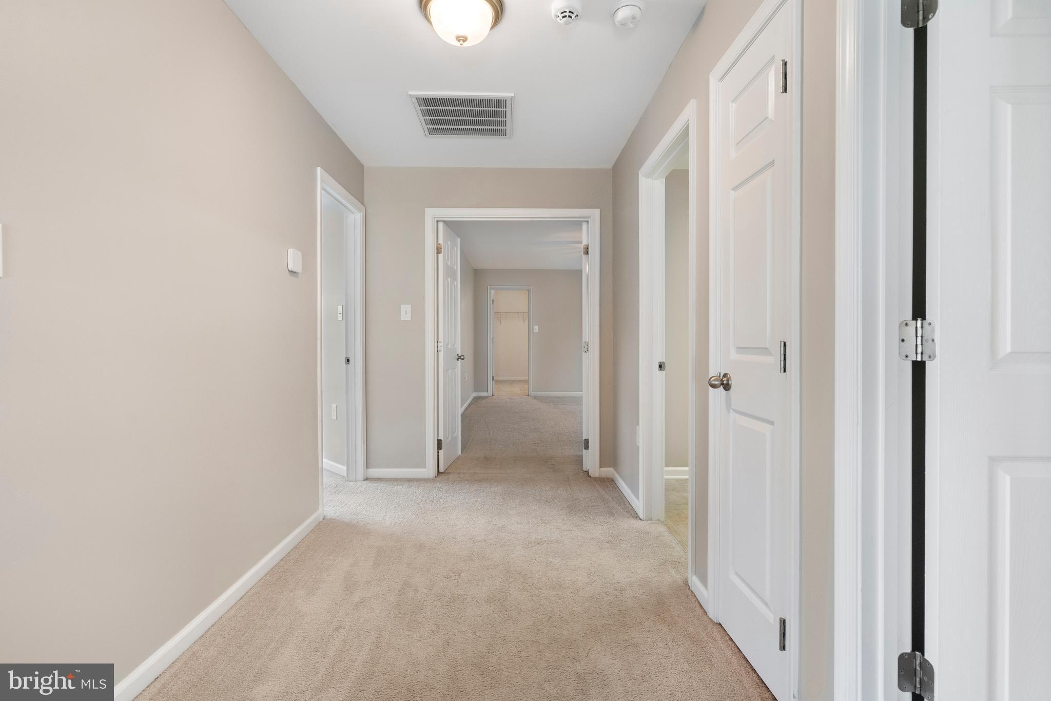 788 Rivanna Run Falling Waters, WV 25419 - Photo 26 of 73