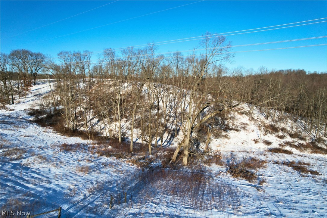 Fostor Road Dresden, OH 43821 - Photo 22 of 25 Snowy view