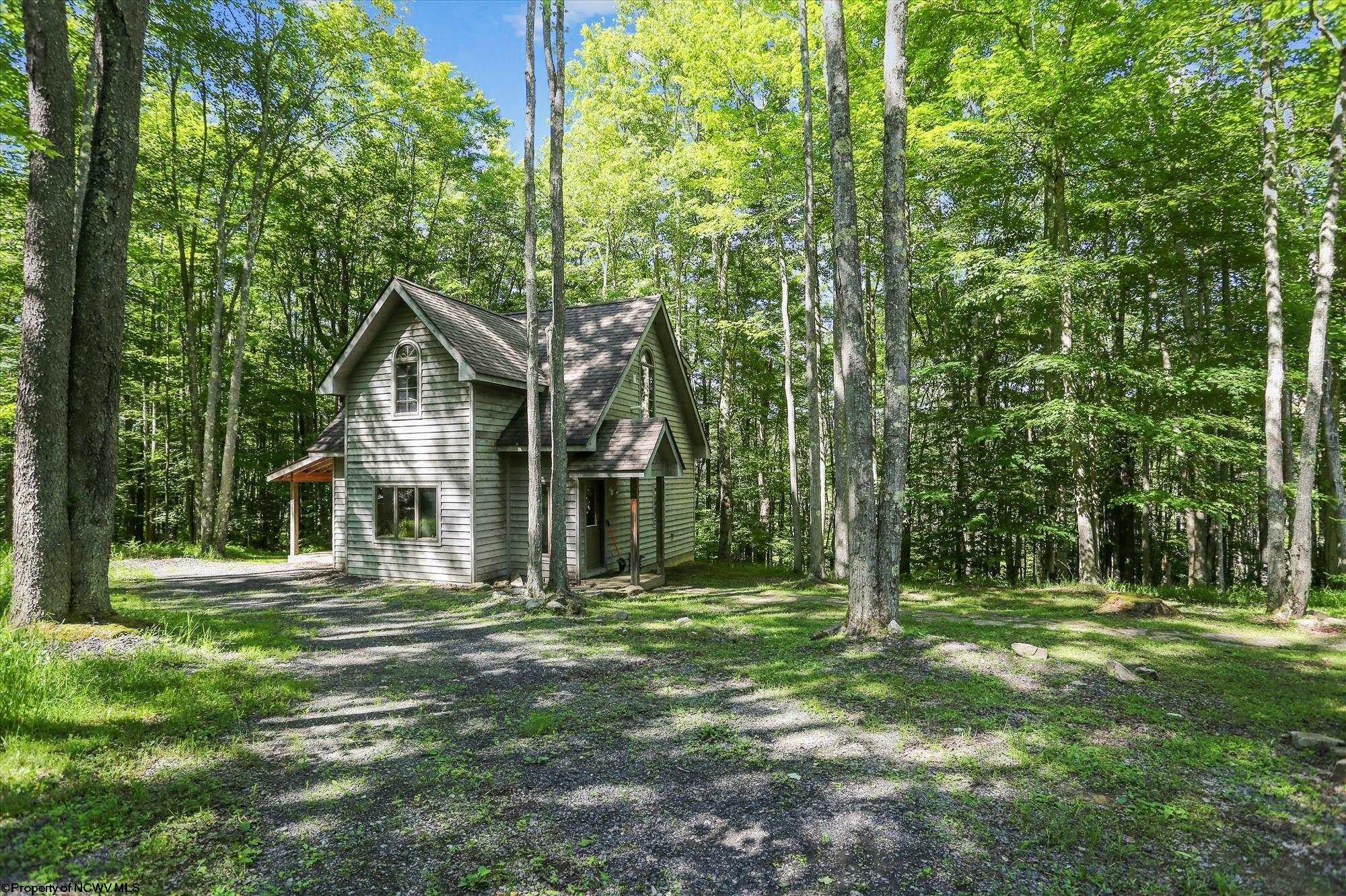 682 Bobcat Road Davis, WV 26260 - Photo 3 of 27 Gallery Image 3