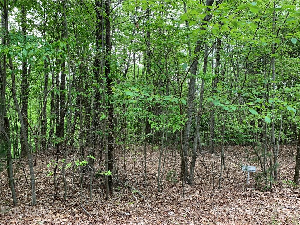 213 Walnut Ridge Road, Unit 213 Brevard, NC 28712 - Photo 6 of 15 Gallery Image 6