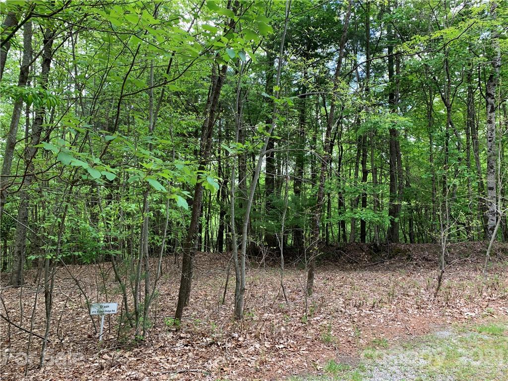 213 Walnut Ridge Road, Unit 213 Brevard, NC 28712 - Photo 7 of 15 Gallery Image 7