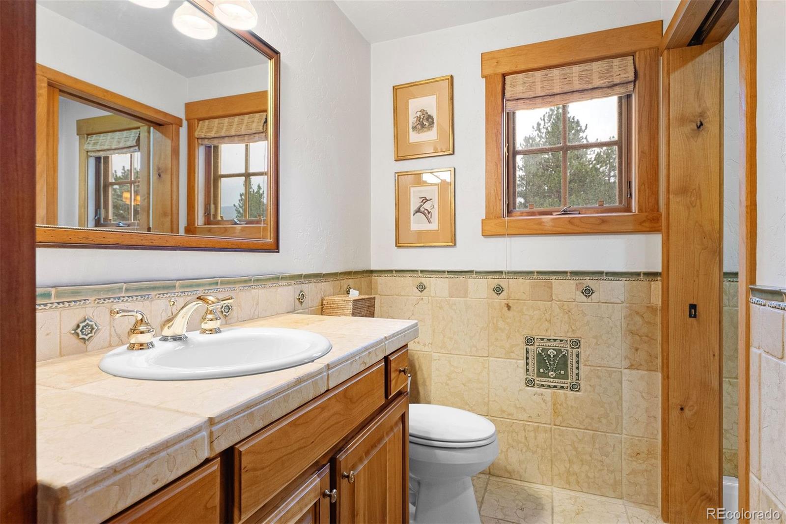 80 Elk Crossing Lane Evergreen, CO 80439 - Photo 37 of 49 a bathroom with a sink a toilet and a window