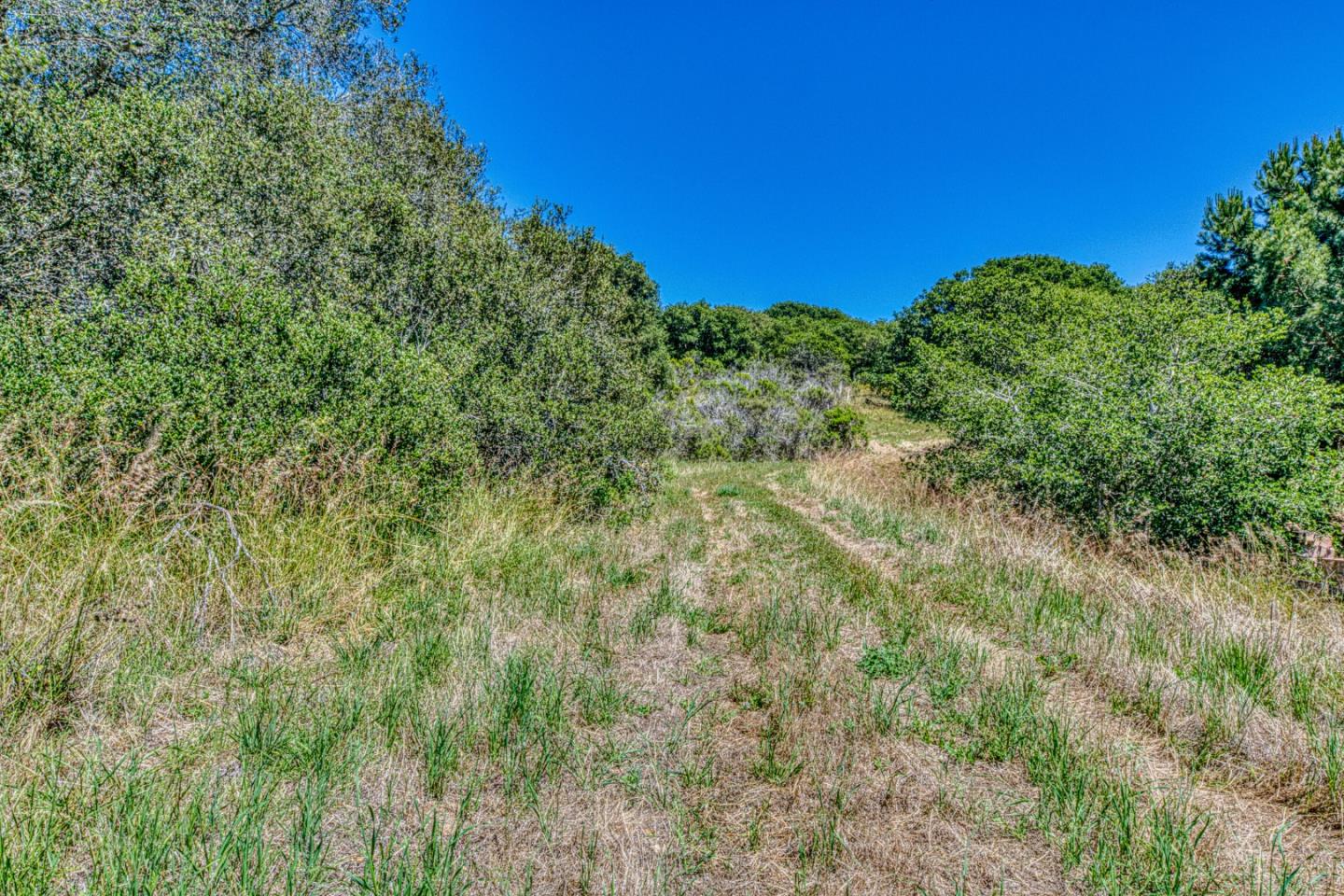 417 B Maher Road Watsonville, CA 95076 - Photo 25 of 37