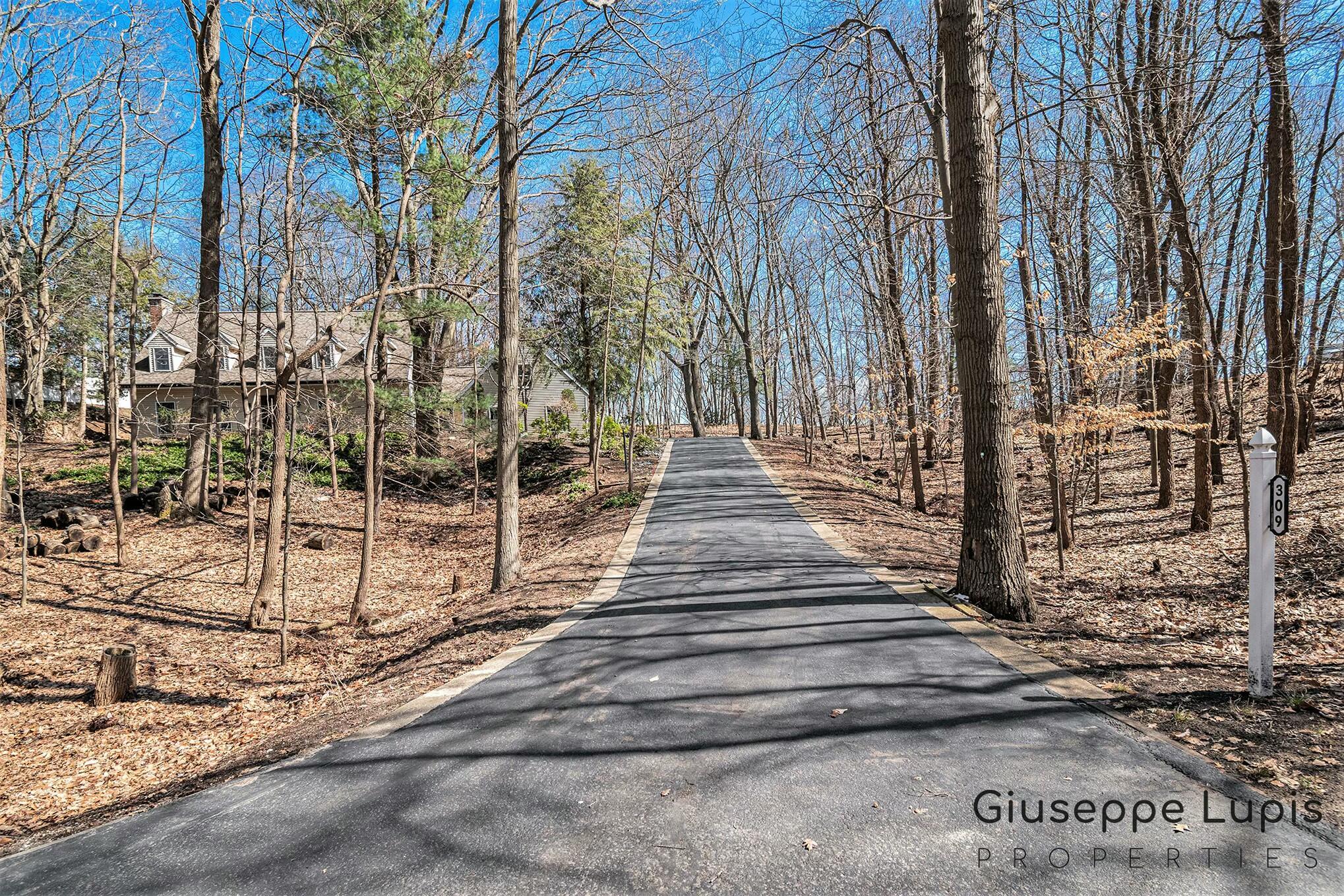 309 Stickney Ridge Road Grand Haven, MI 49417 - Photo 4 of 62 driveway