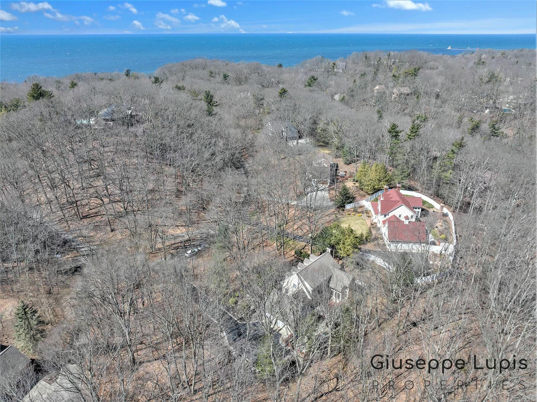 309 Stickney Ridge Road Grand Haven, MI 49417 - Photo 54 of 62 aerial with Lake Michigan view
