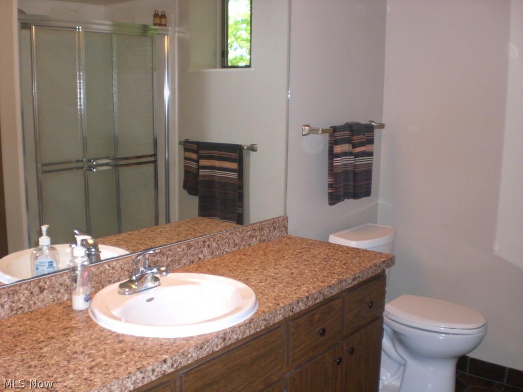 4983 Harris Road Broadview Heights, OH 44147 - Photo 16 of 25 LOWER LEVEL FULL BATHROOM HAS A NEWER COUNTER TOP AND A WALK-IN SHOWER