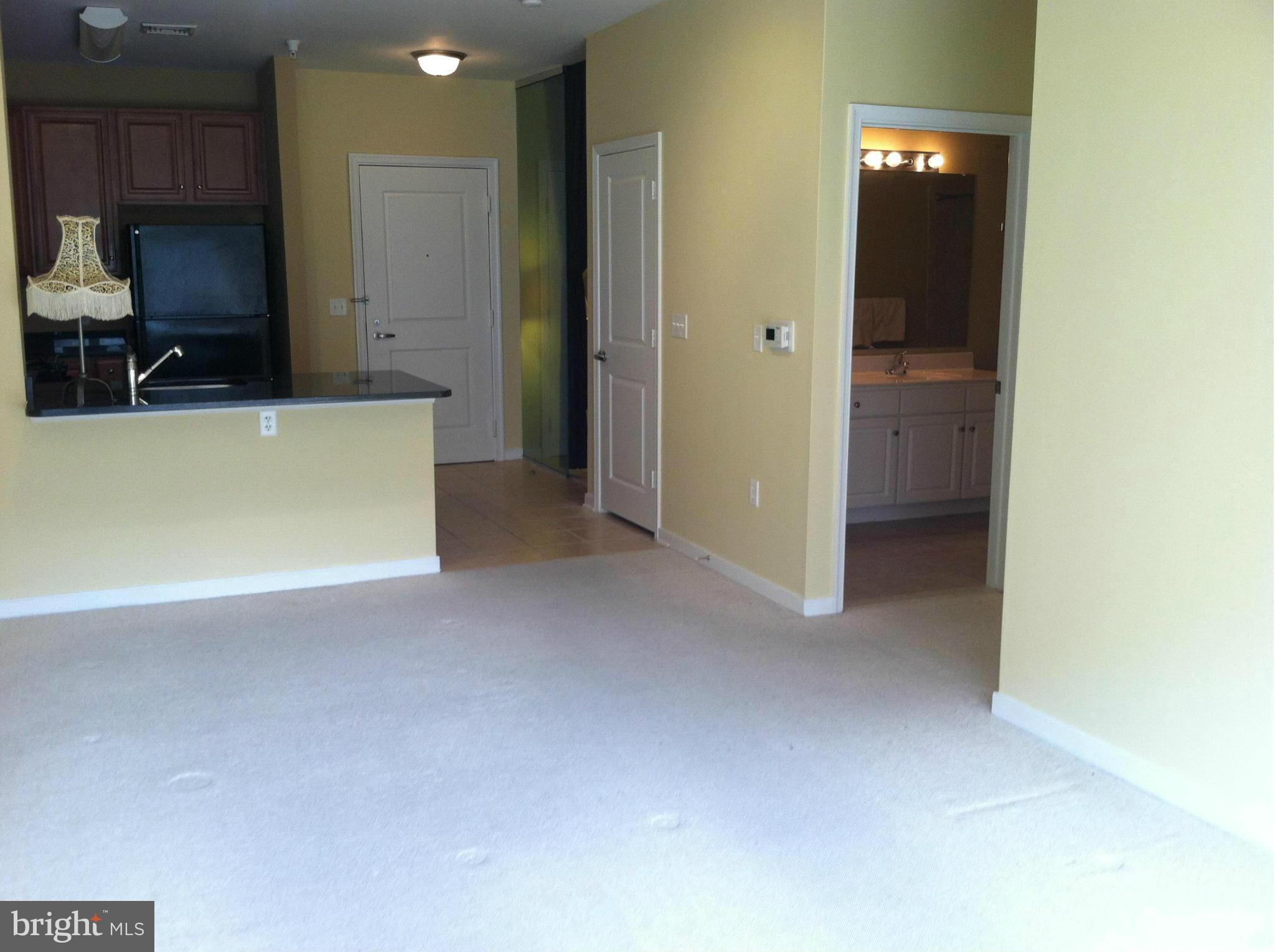 8045 Newell Street, Unit 203 Silver Spring, MD 20910 - Photo 5 of 11 a view of kitchen and utility room