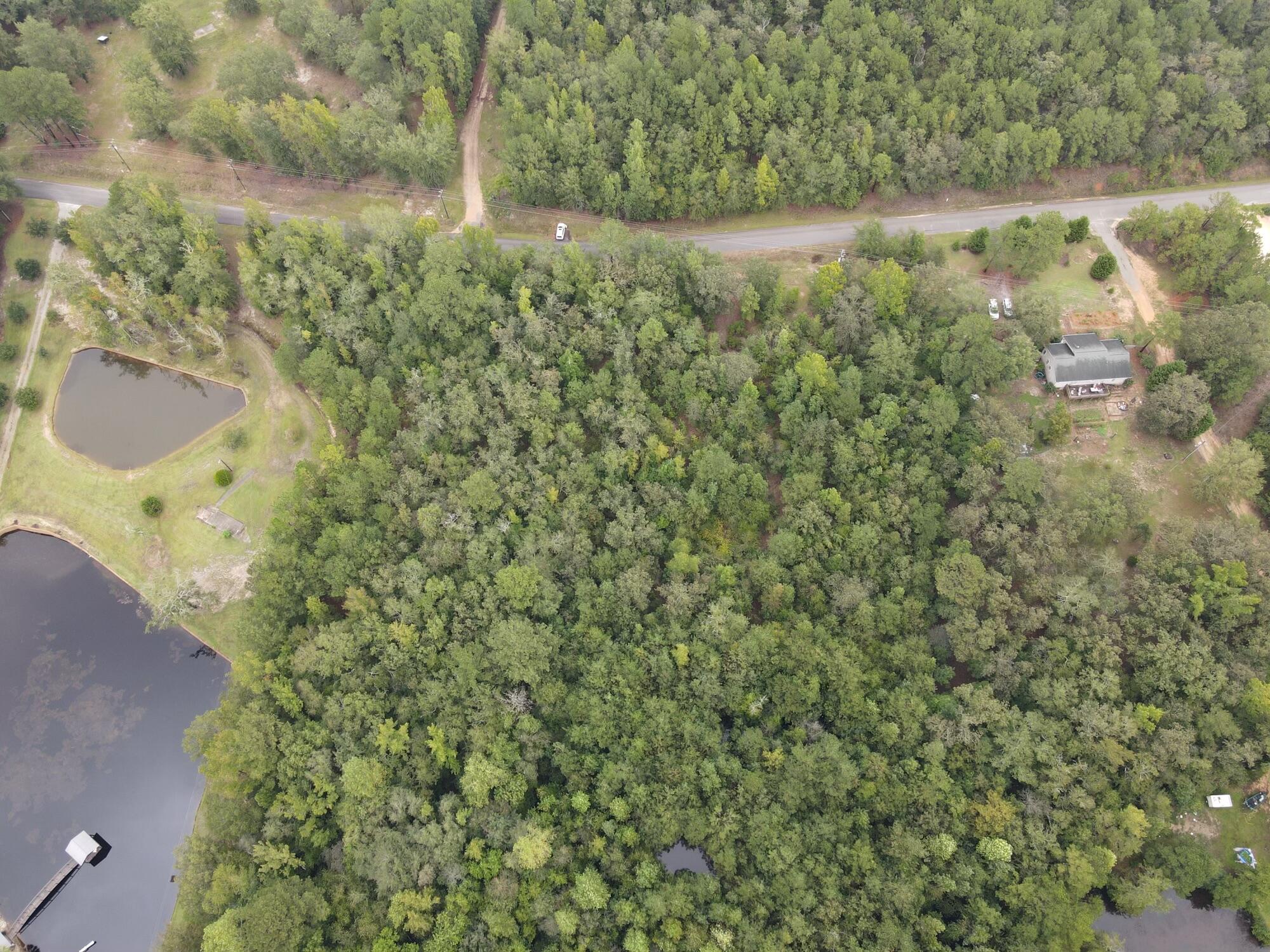 0 Cumbee Trail Road Ridge Spring, SC 29129 - Photo 4 of 5