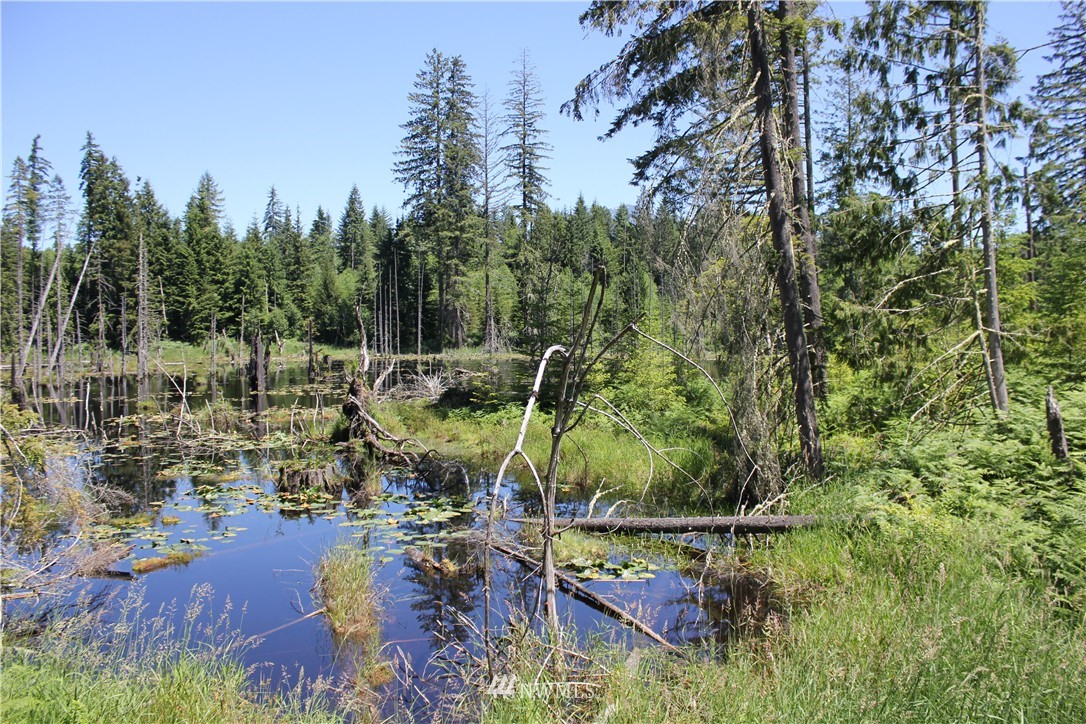 2400 Robe Menzel Road Granite Falls, WA 98252 - Photo 2 of 5