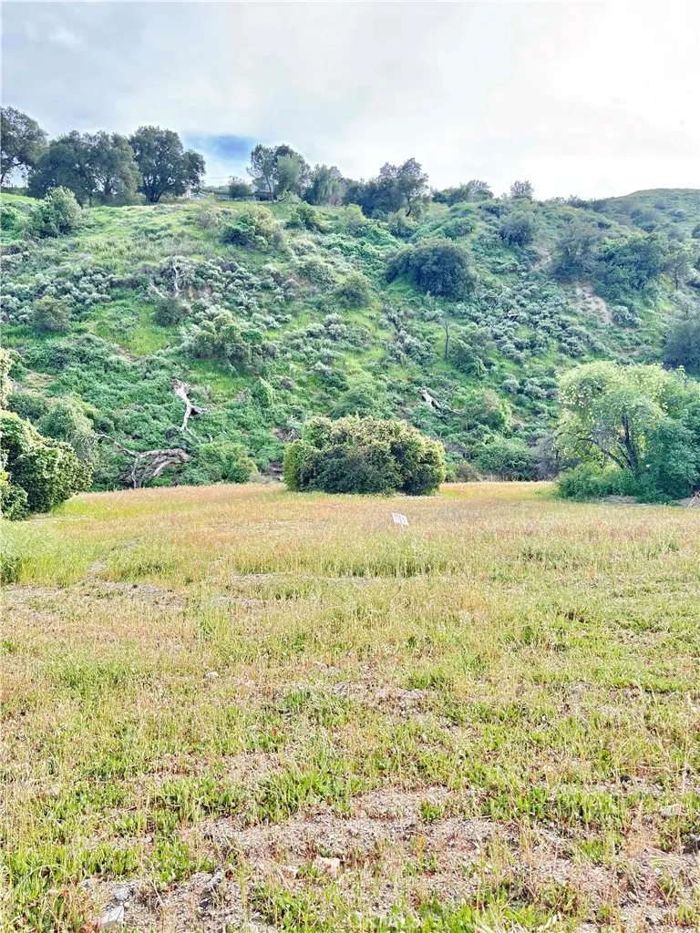 0 San Martinez Road Val Verde, CA 91384 - Photo 4 of 7