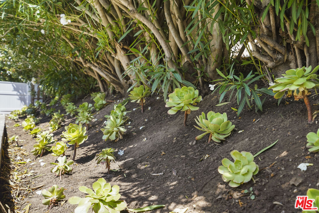 31259 Bailard Road Malibu, CA 90265 - Photo 40 of 43 a backyard of a house with lots of green space