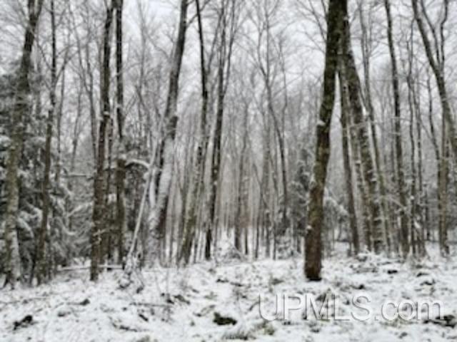 94-acres Peter White Road Deerton, MI 49822 - Photo 22 of 24