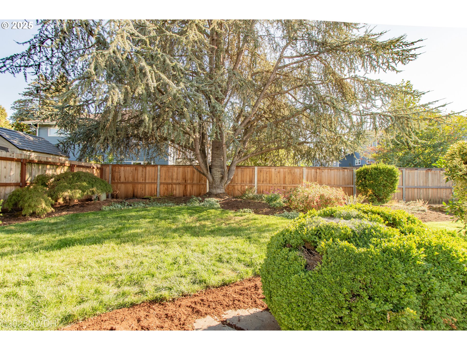 651 T Street Springfield, OR 97477 - Photo 28 of 32 a backyard of a house