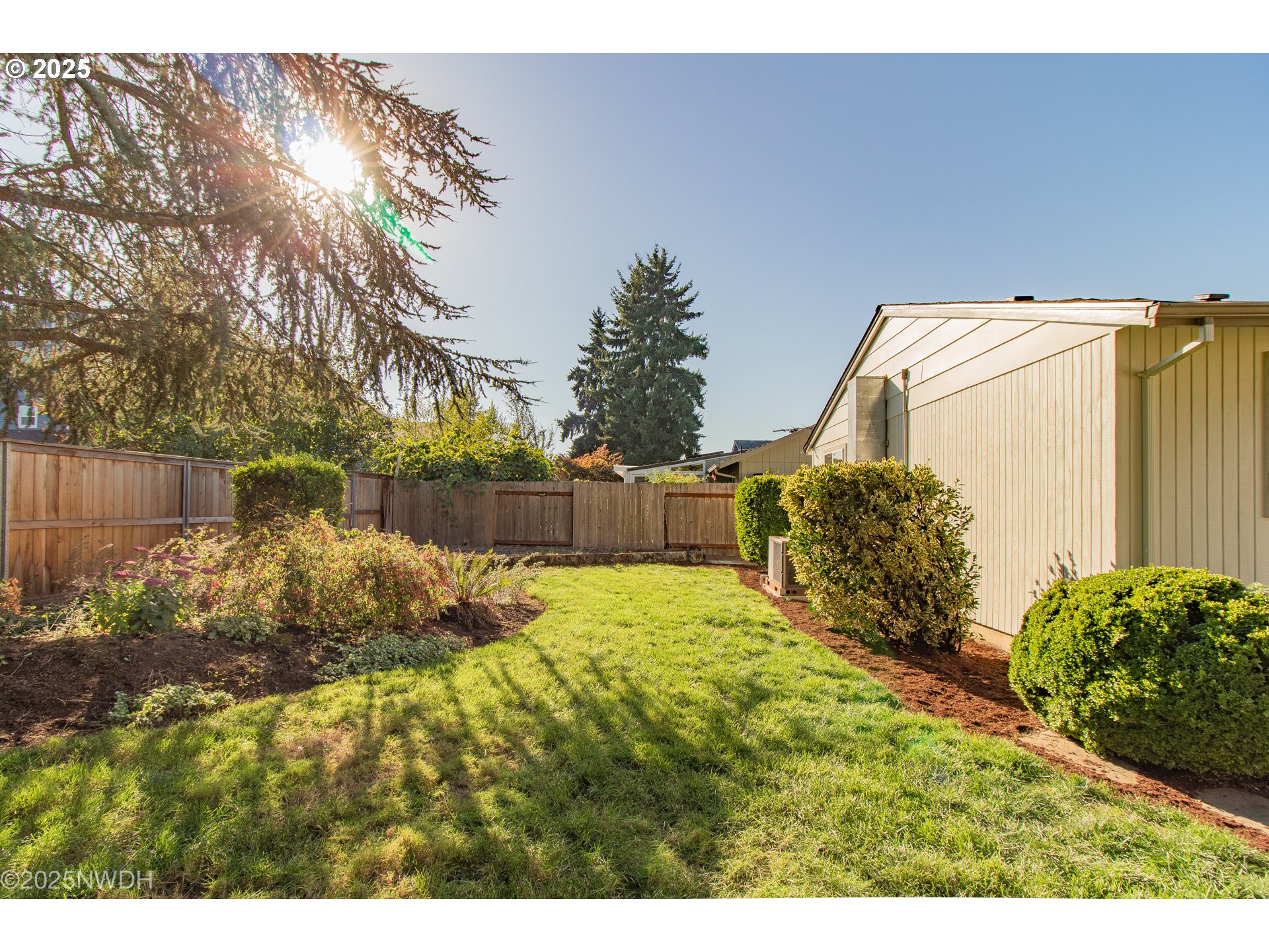 651 T Street Springfield, OR 97477 - Photo 29 of 32 a view of backyard and trees