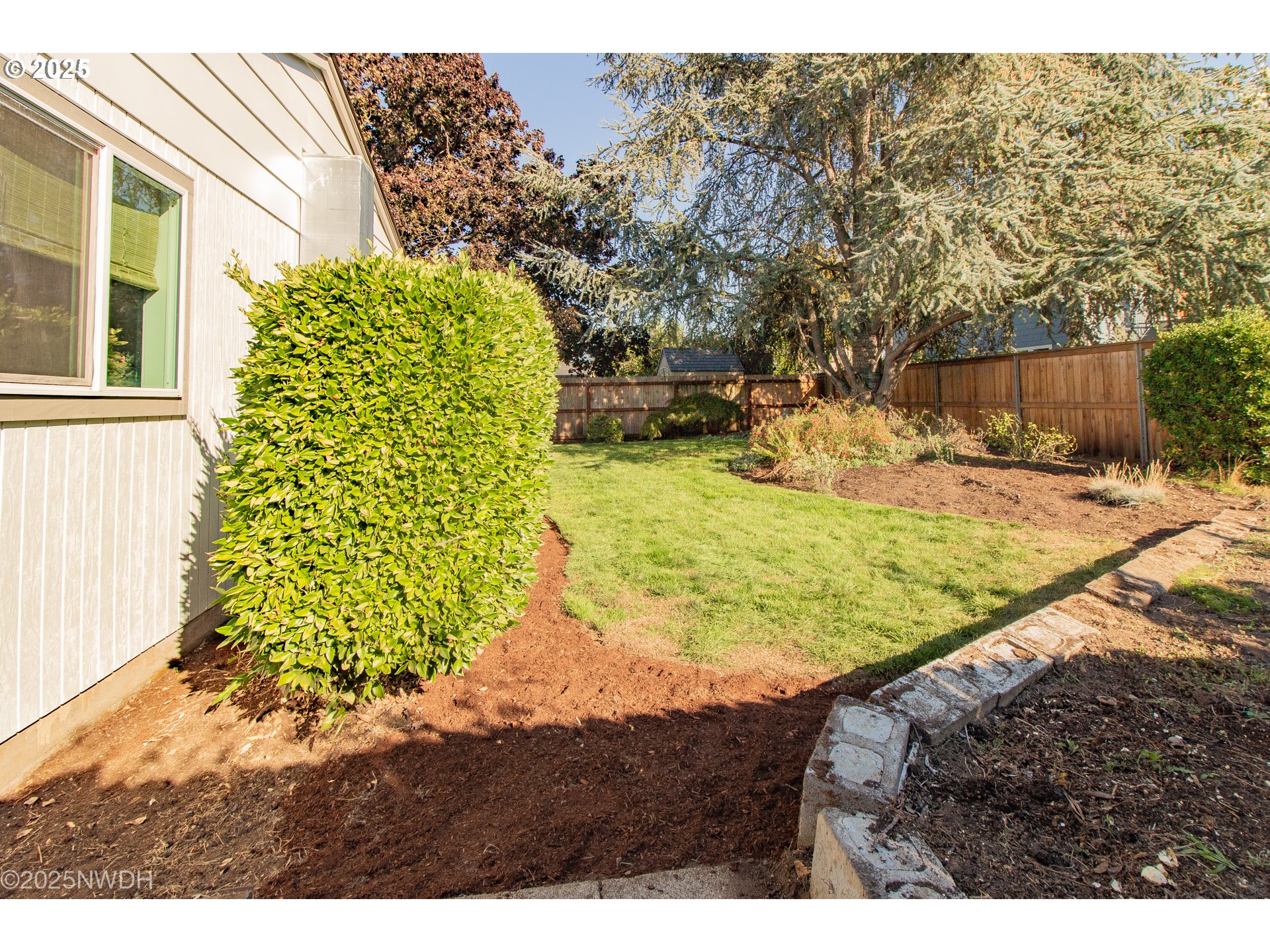 651 T Street Springfield, OR 97477 - Photo 32 of 32 a view of an outdoor space