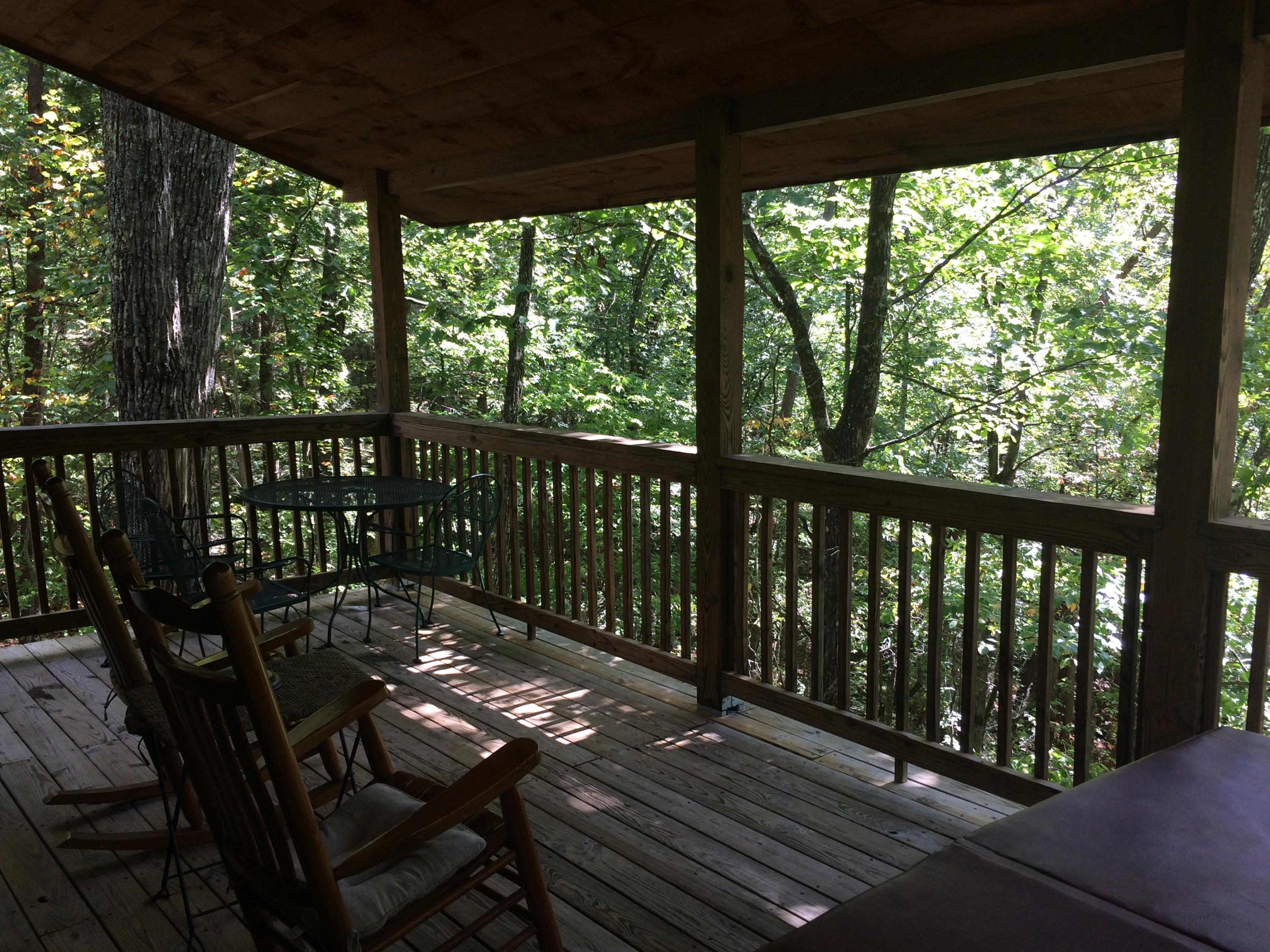 3608 Locust Ridge Road Sevierville, TN 37876 - Photo 11 of 33 IMG_2388