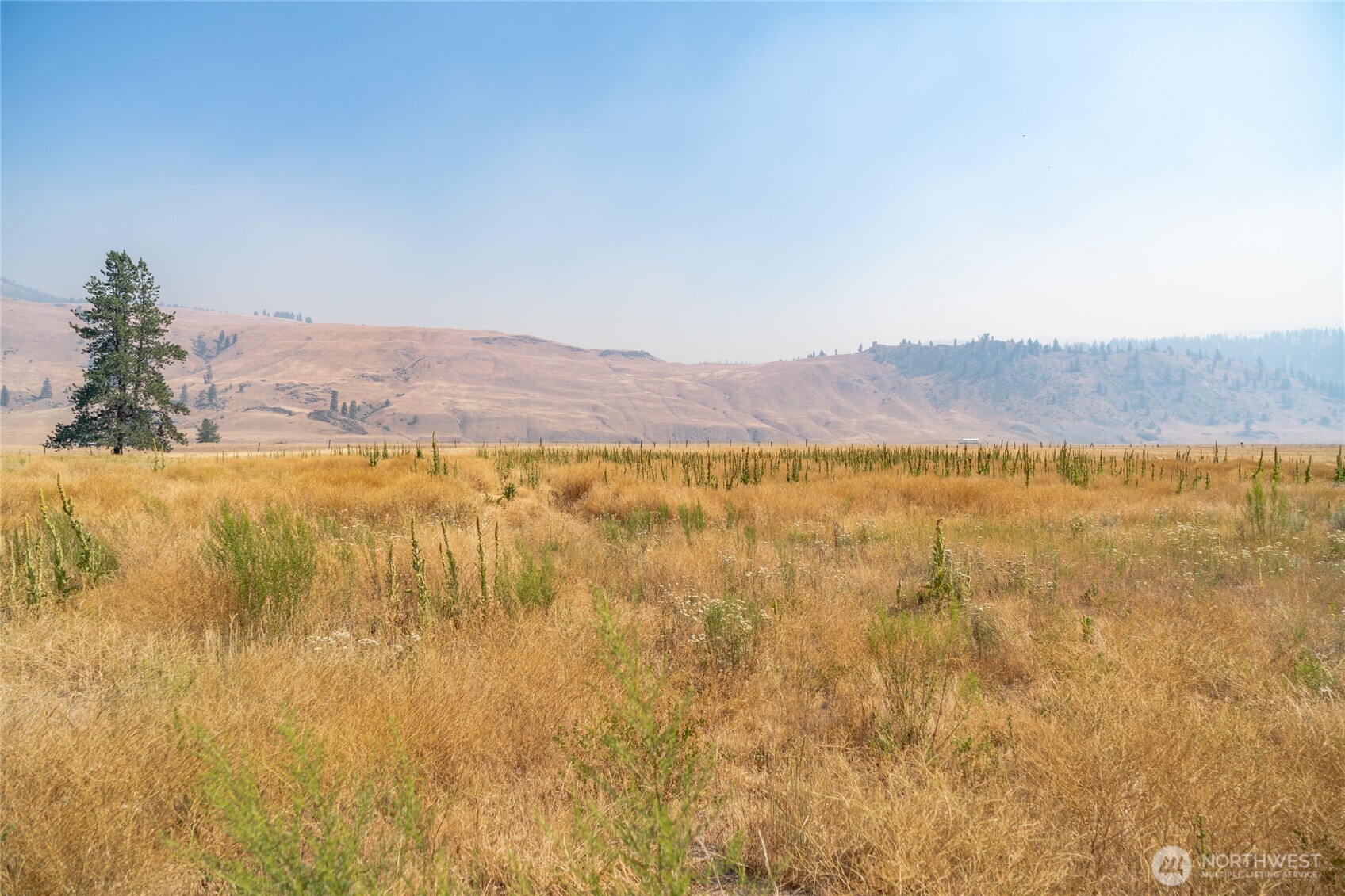 1 Aeneas Valley Road Tonasket, WA 98855 - Photo 3 of 5