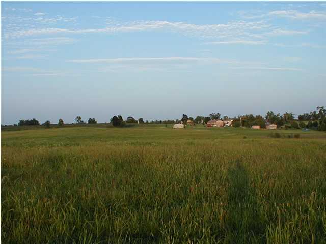 1812 McCoun Road Smithfield, KY 40068 - Photo 19 of 20 Additional Photo