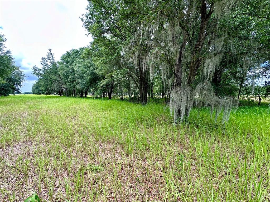 4946 Wauchula Road Myakka City, FL 34251 - Photo 6 of 9
