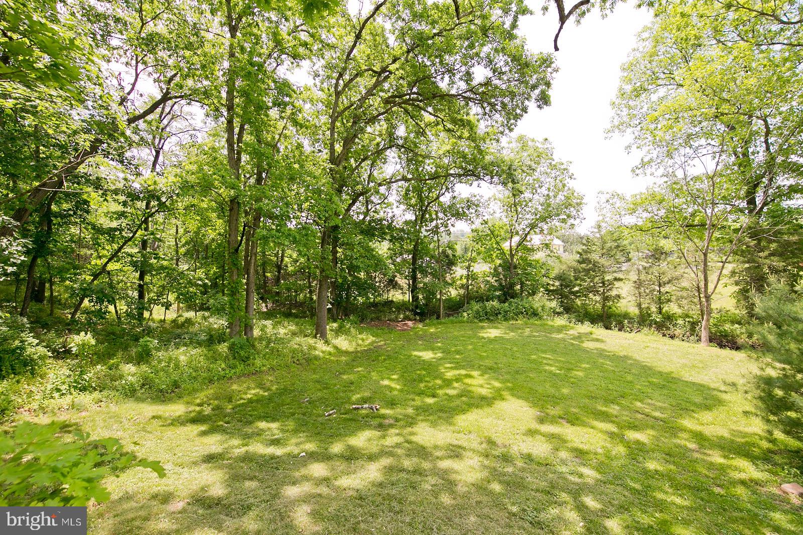 899 Brill Road Star Tannery, VA 22654 - Photo 6 of 59 Gallery Image 6