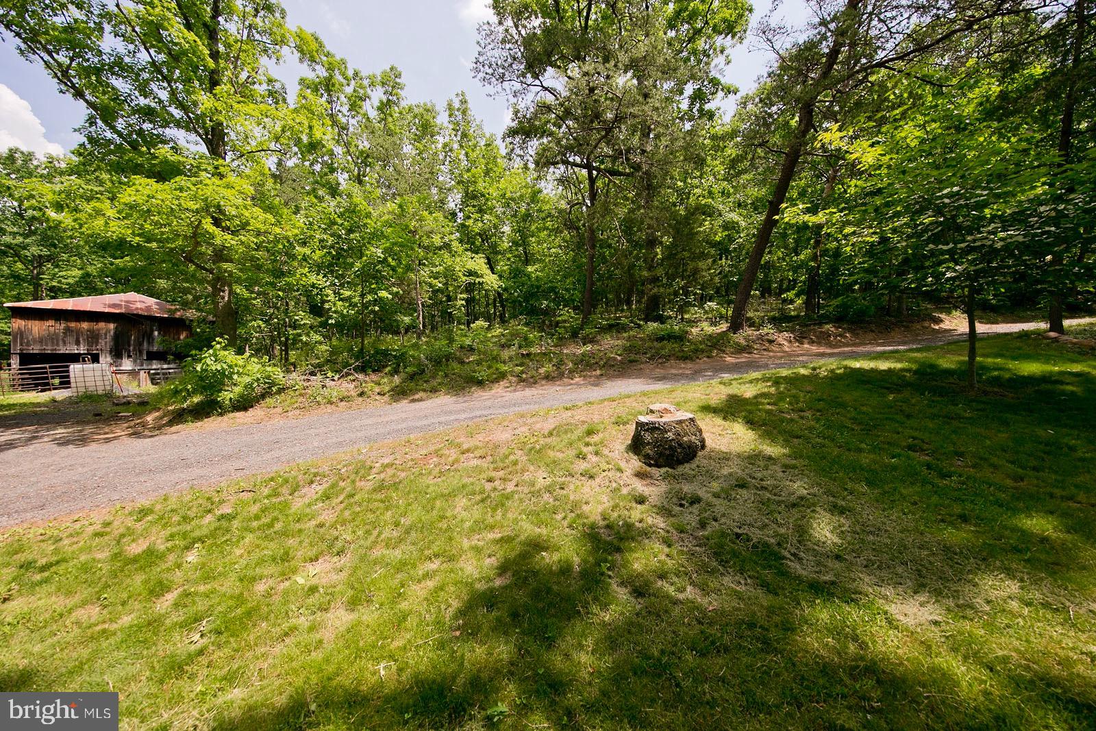 899 Brill Road Star Tannery, VA 22654 - Photo 10 of 59 Gallery Image 10