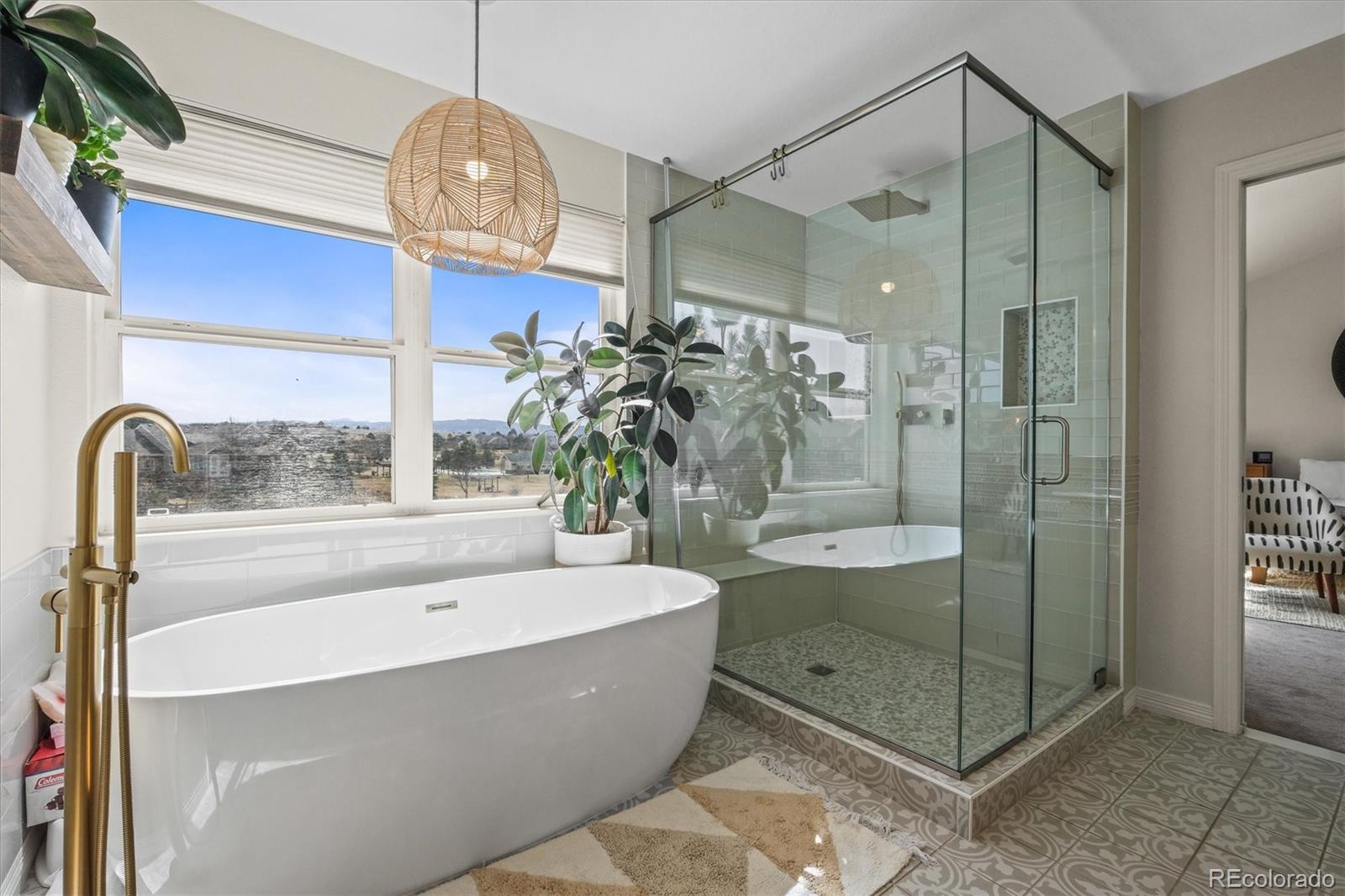 854 Countrybriar Lane Highlands Ranch, CO 80129 - Photo 18 of 47 Gallery Image 18