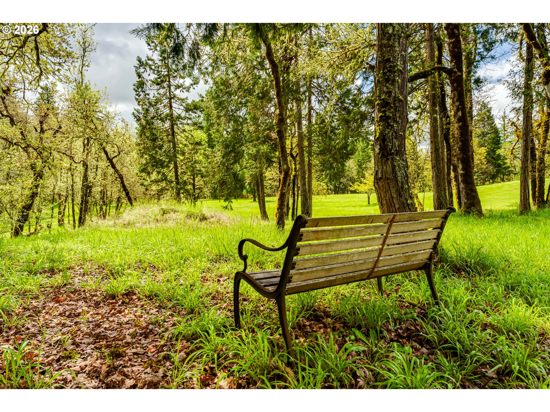 37871 Jasper Lowell Road Springfield, OR 97478 - Photo 36 of 48 Yard