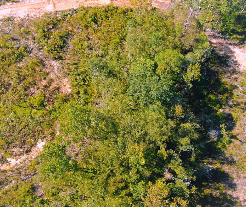 5345 Co Road Baldwyn, MS 38824 - Photo 16 of 18 Gallery Image 16
