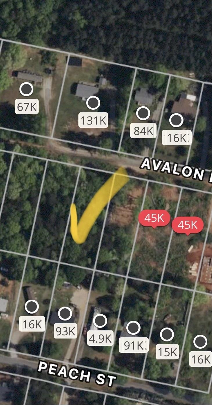 Avalon Drive Inman, SC 29349 - Photo 2 of 6