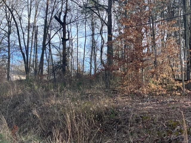 Avalon Drive Inman, SC 29349 - Photo 4 of 6