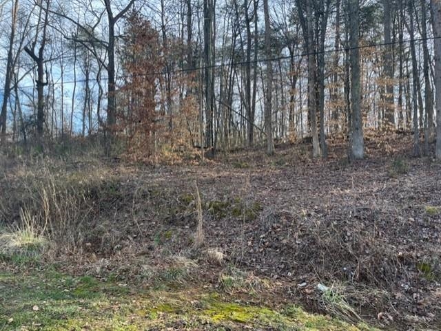 Avalon Drive Inman, SC 29349 - Photo 5 of 6