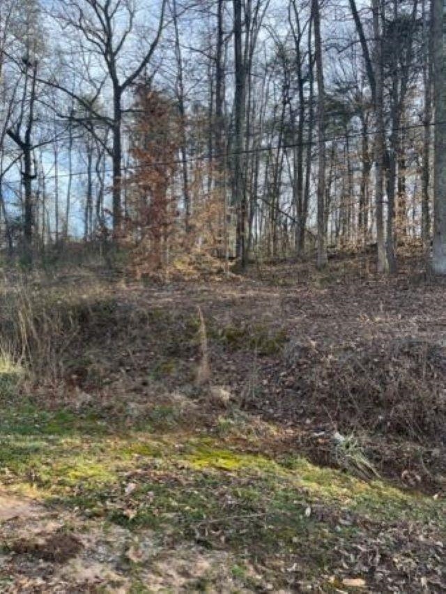Avalon Drive Inman, SC 29349 - Photo 6 of 6