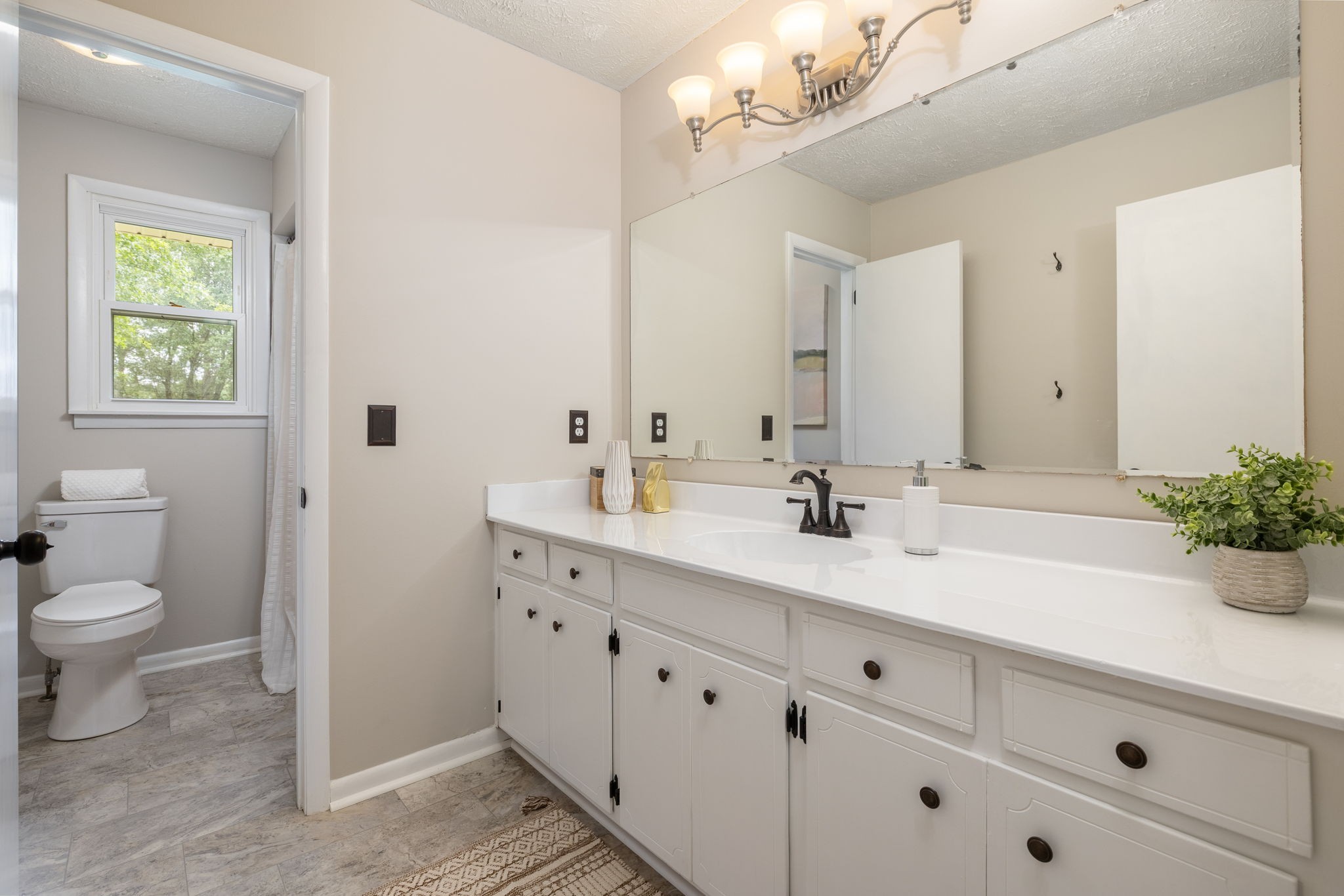 4203 Martins Chapel Road Springfield, TN 37172 - Photo 30 of 52 a bathroom with a sink a mirror and a toilet