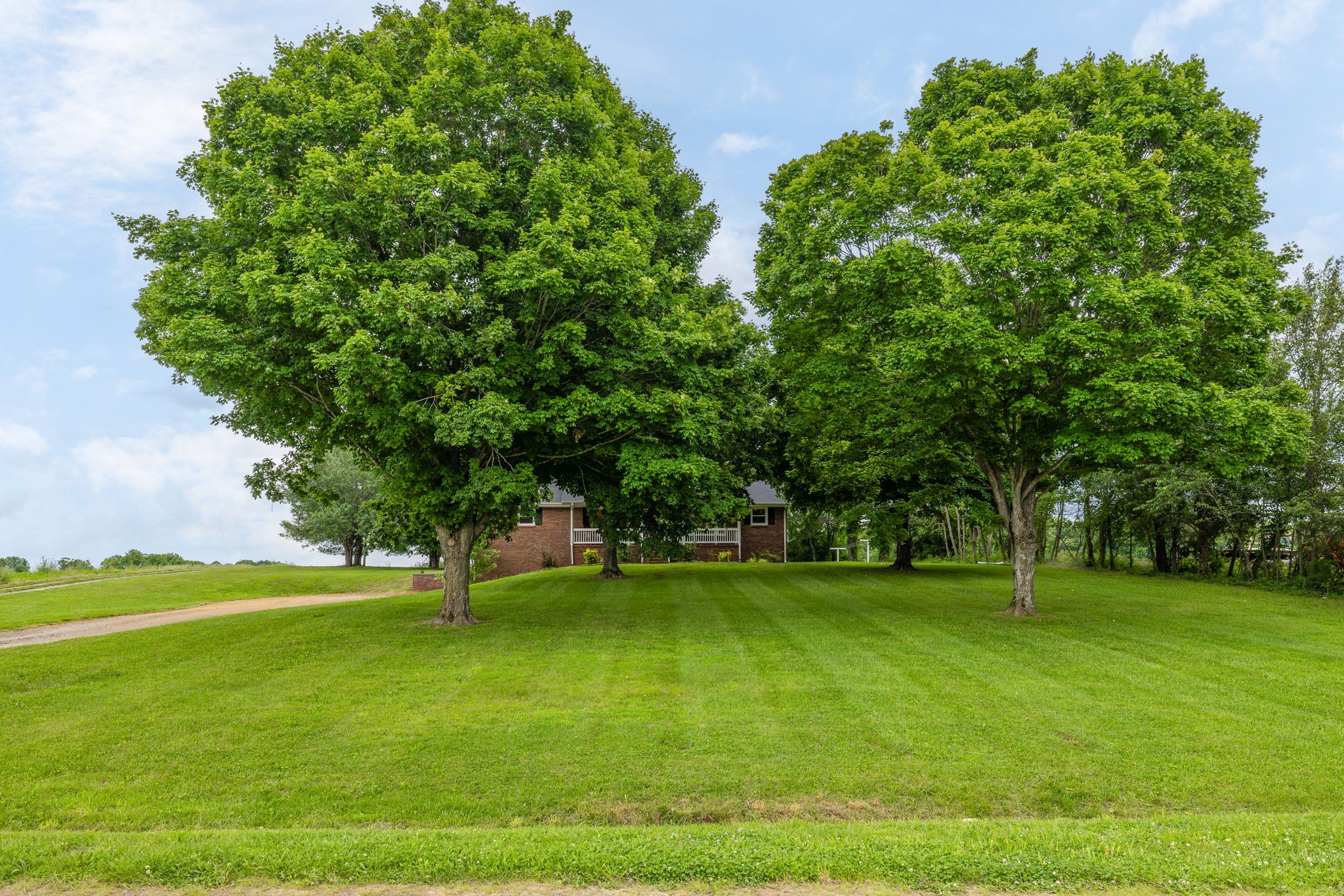 4203 Martins Chapel Road Springfield, TN 37172 - Photo 3 of 52 a view of a field with a tree