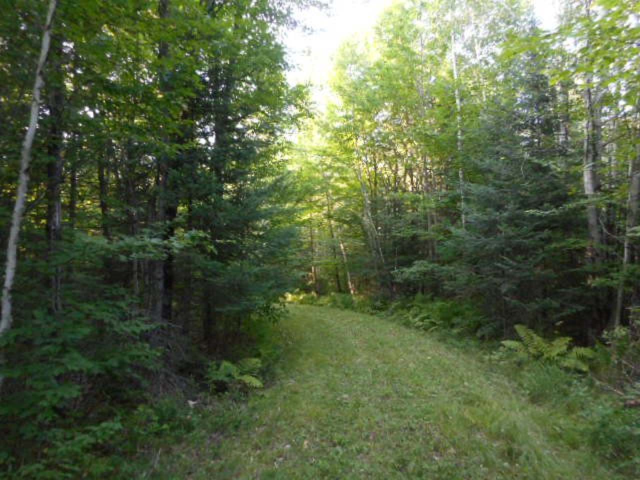 On On Peterson Road Ogema, WI 54459 - Photo 2 of 8 Gallery Image 2