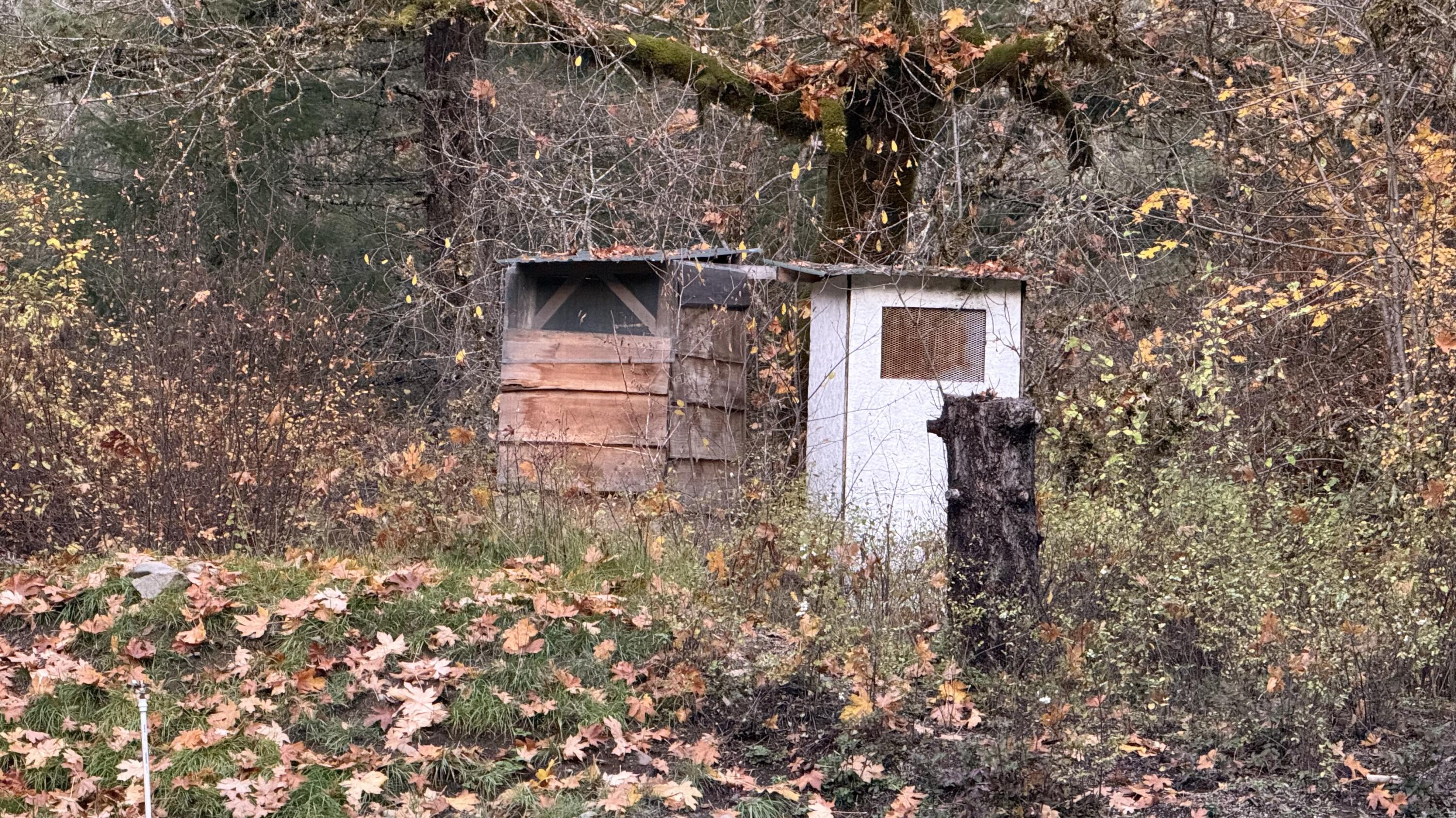 52 Dodes Creek Road Trail, OR 97541 - Photo 19 of 110 Outhouses