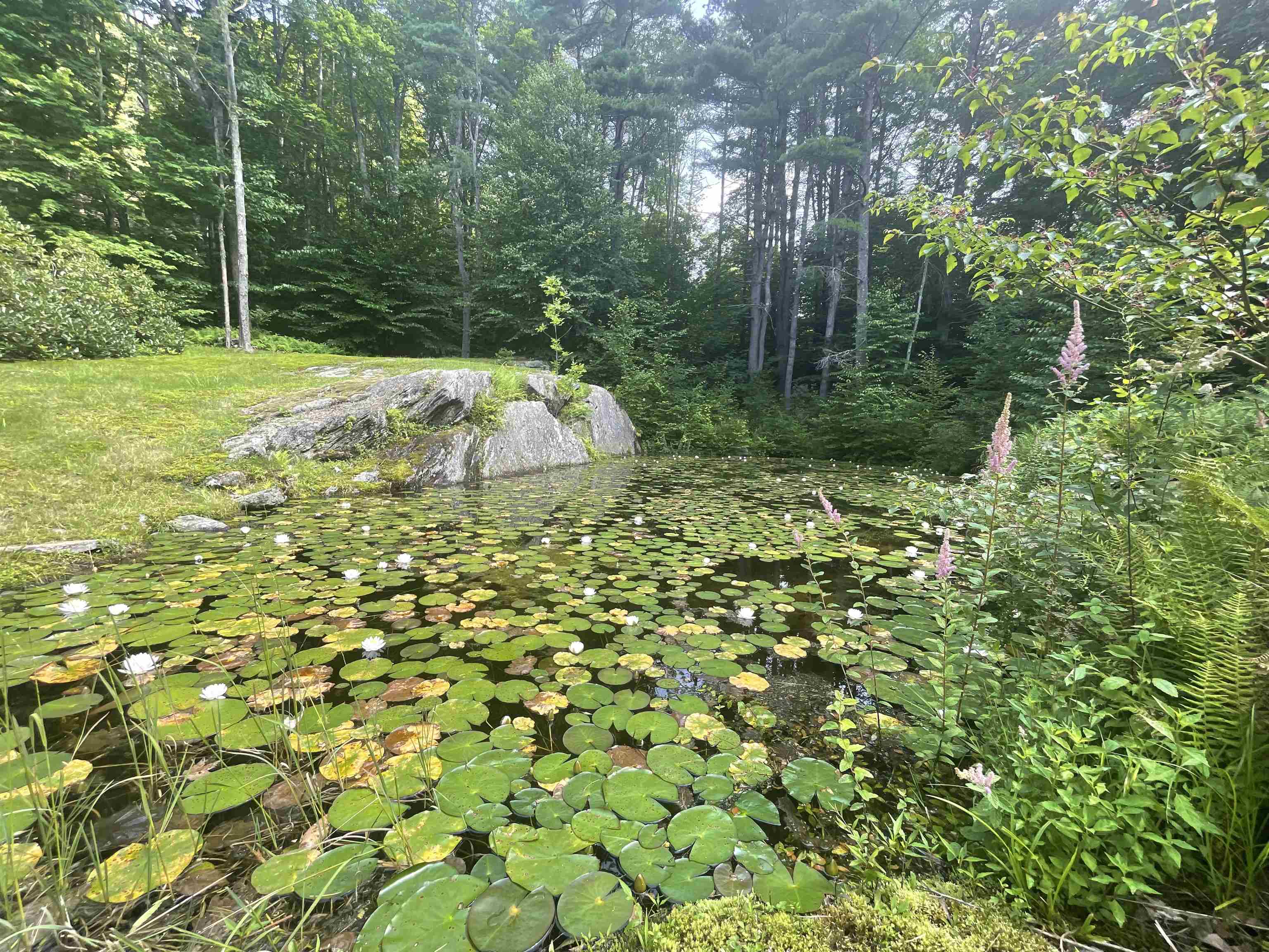 579 North Orchard Road Grafton, VT 05146 - Photo 15 of 37