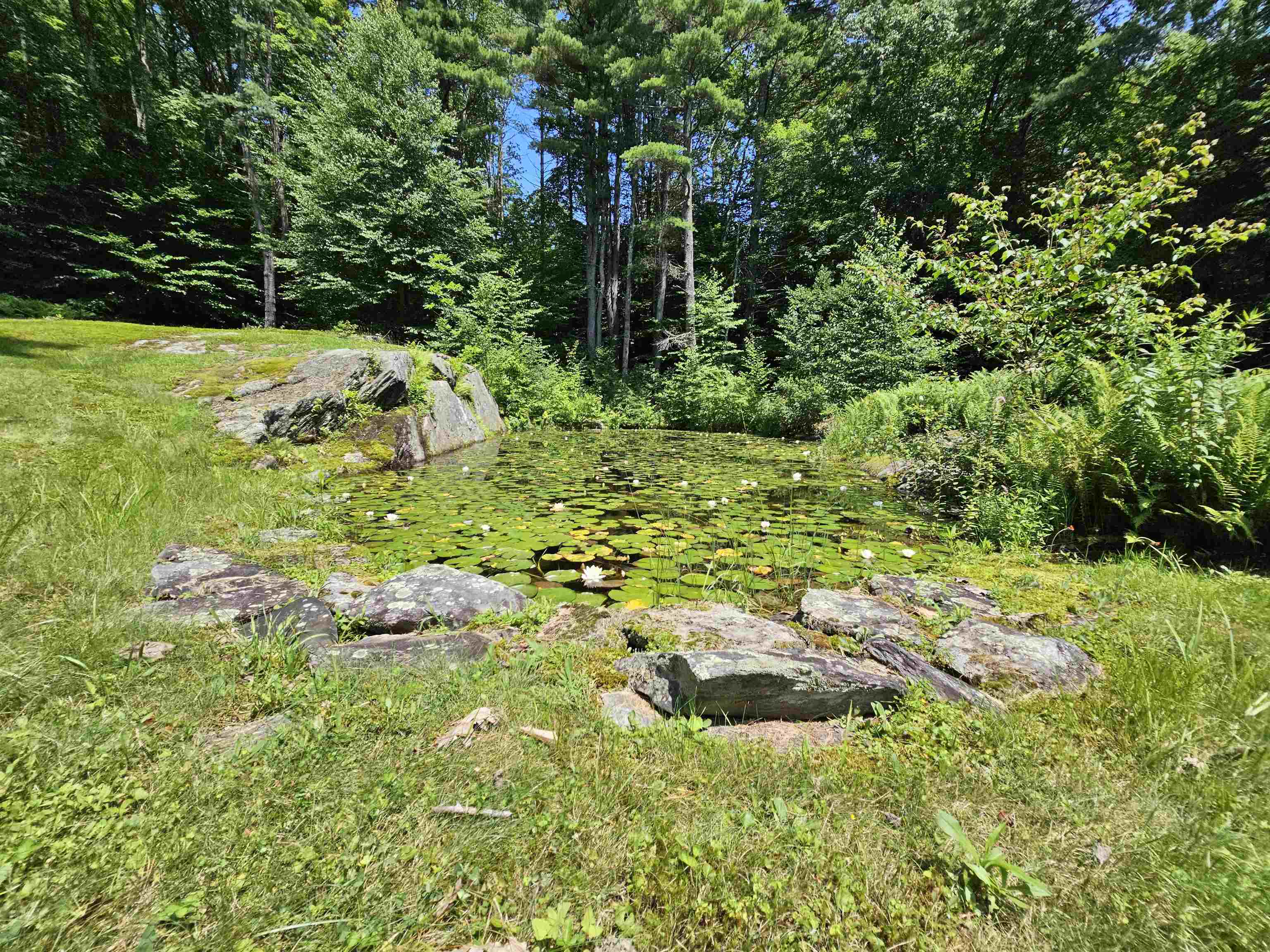 579 North Orchard Road Grafton, VT 05146 - Photo 31 of 37