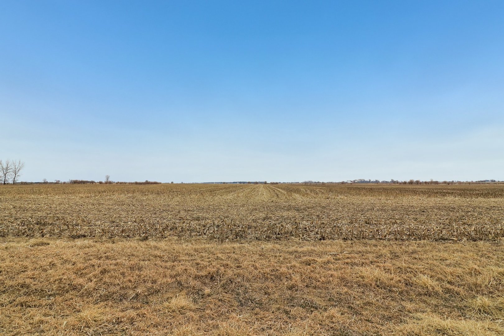 32309 South Cedar Road Manhattan, IL 60442 - Photo 4 of 11