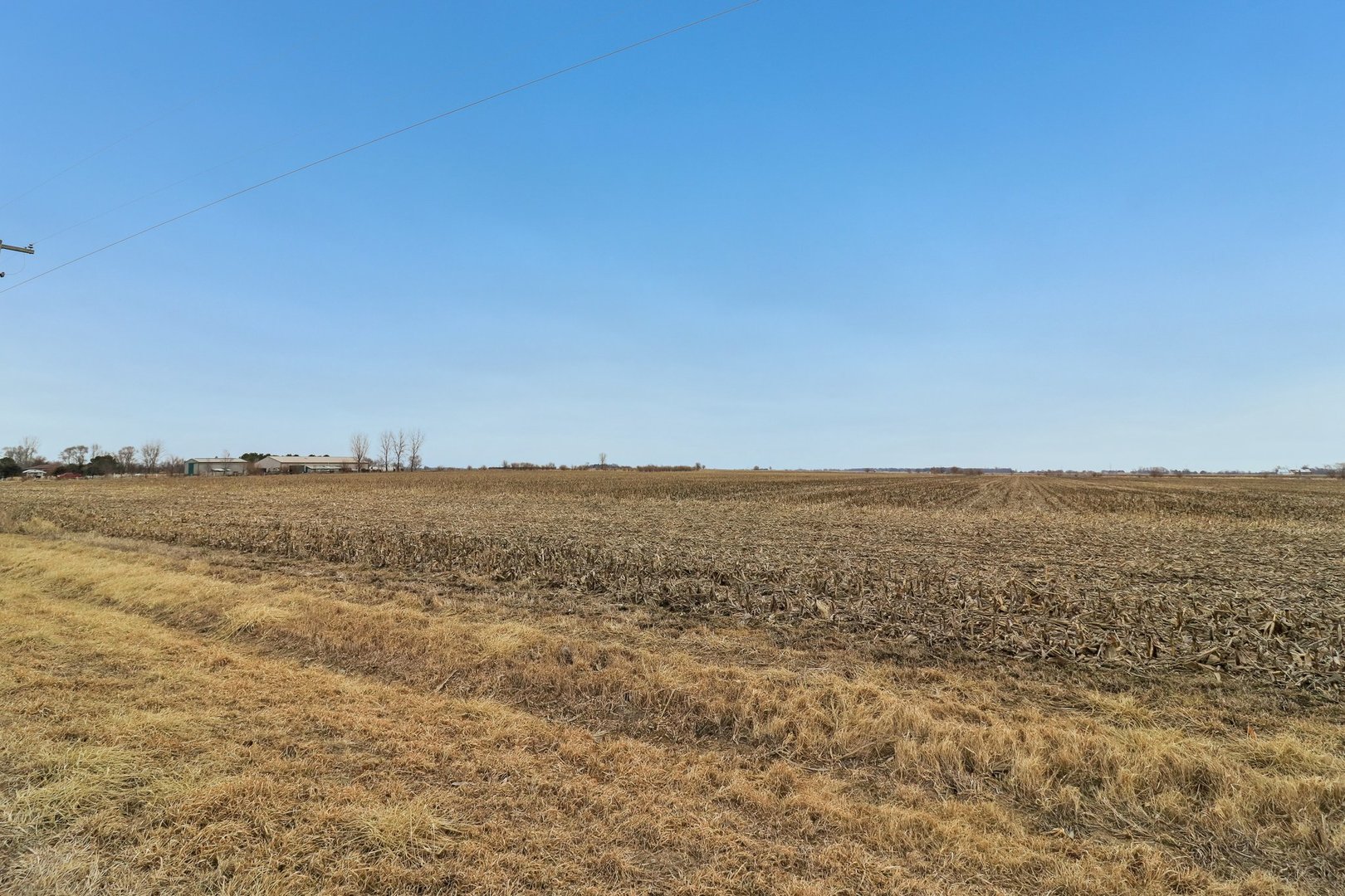 32309 South Cedar Road Manhattan, IL 60442 - Photo 6 of 11