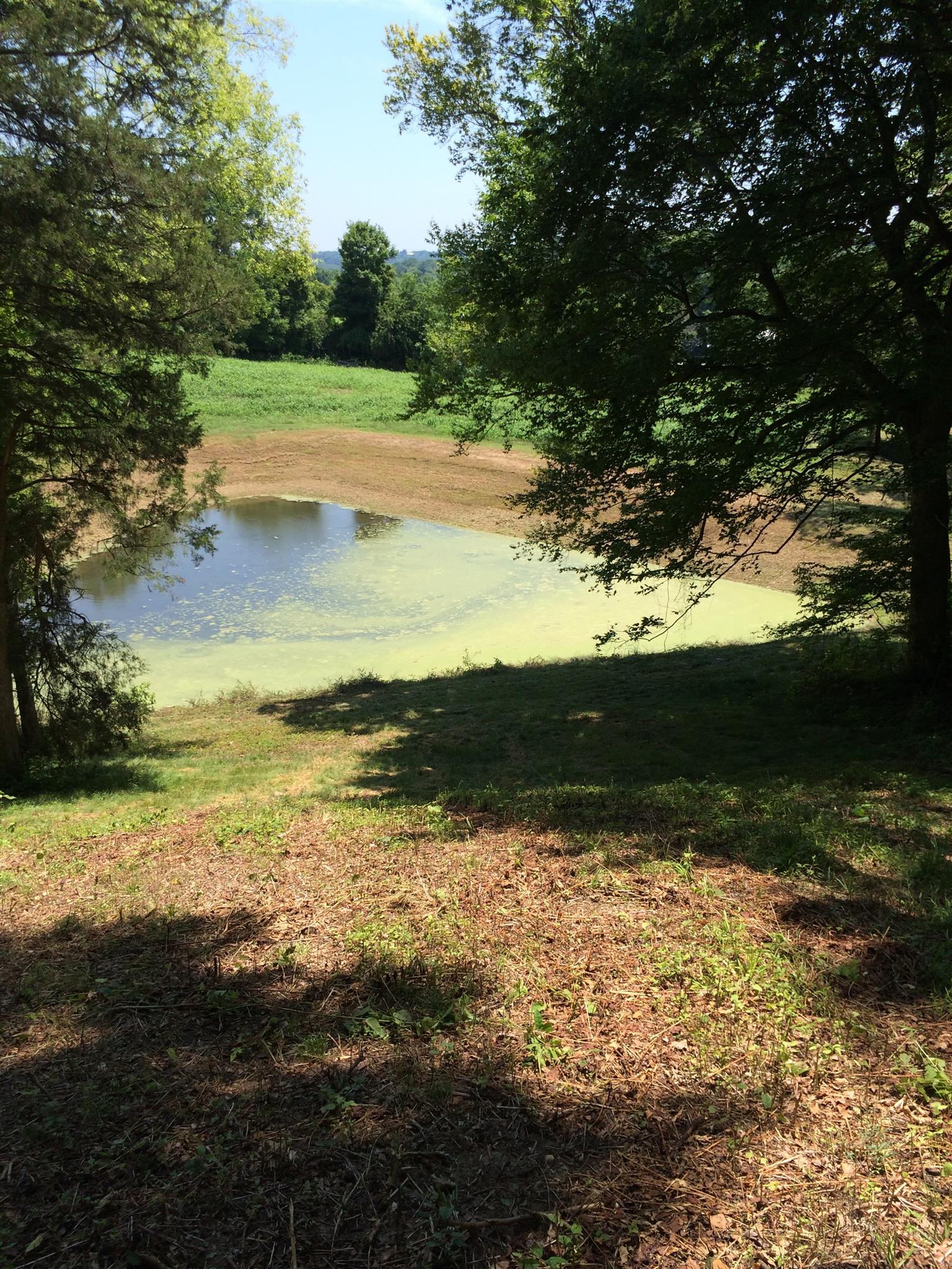 a view of an ocean beach