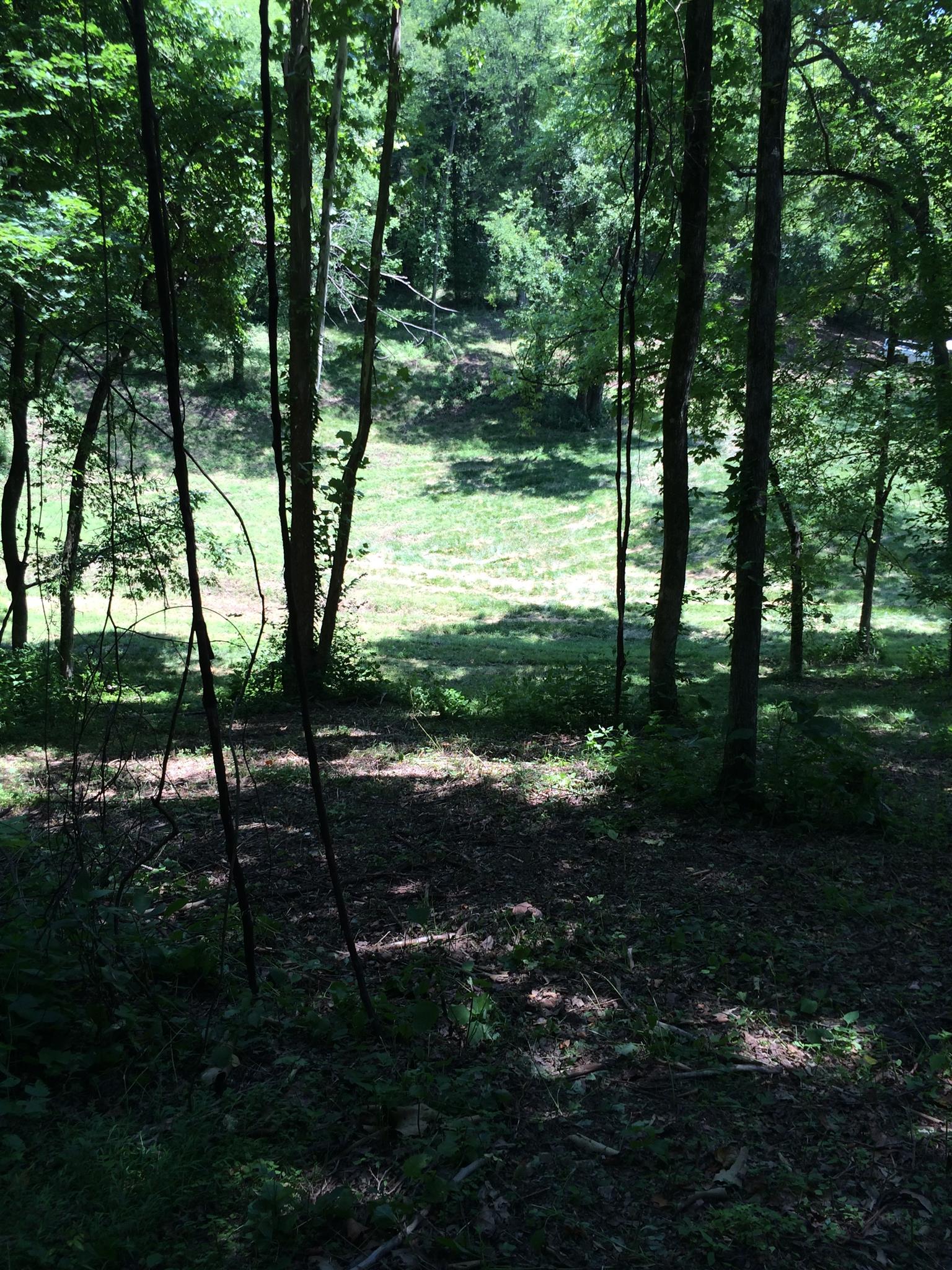 6448 Nathan Smith Road College Grove, TN 37046 - Photo 11 of 13 a backyard of a house with lots of green space