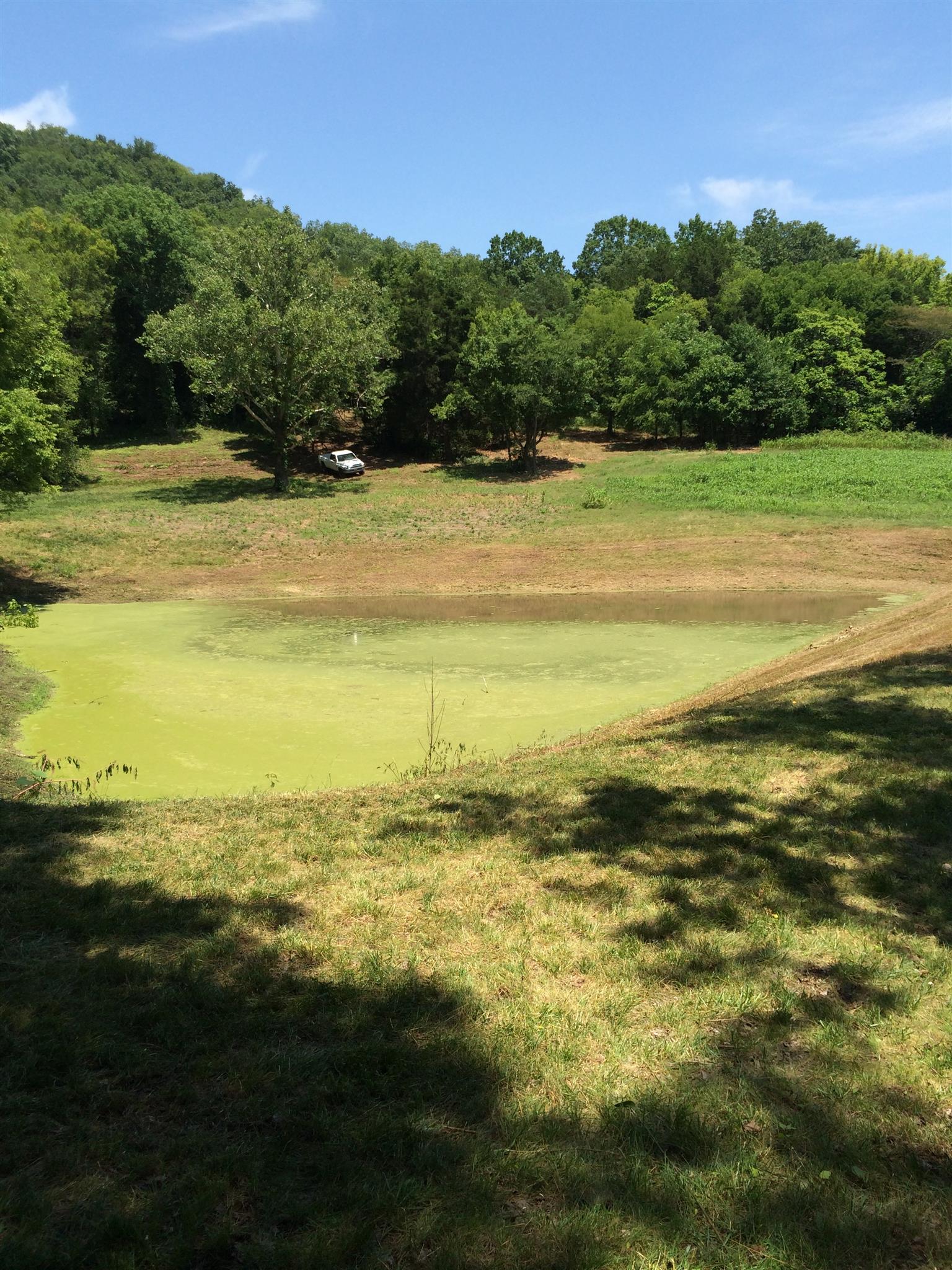 6448 Nathan Smith Road College Grove, TN 37046 - Photo 12 of 13 a view of an ocean