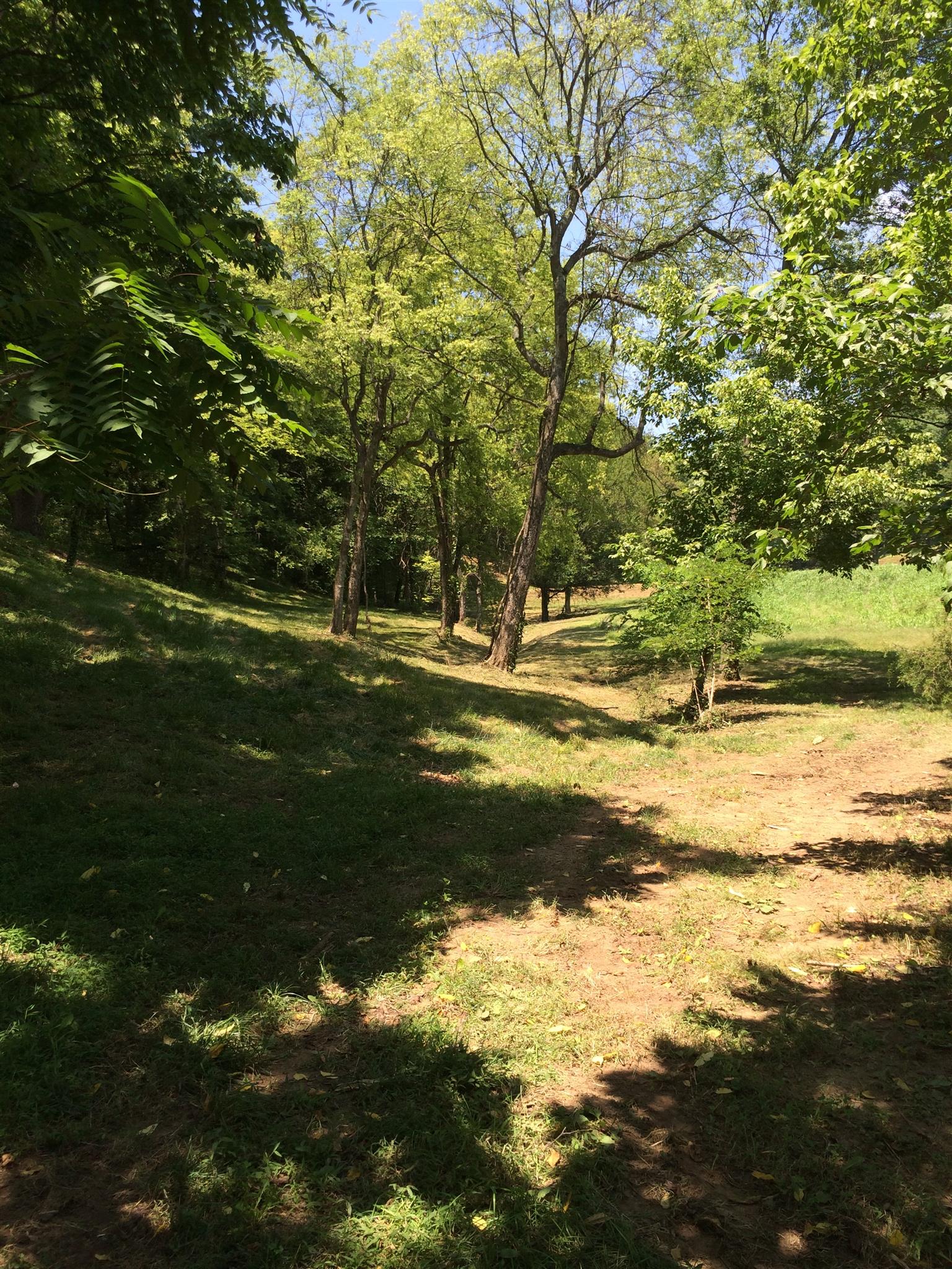 6448 Nathan Smith Road College Grove, TN 37046 - Photo 13 of 13 a view of a water view