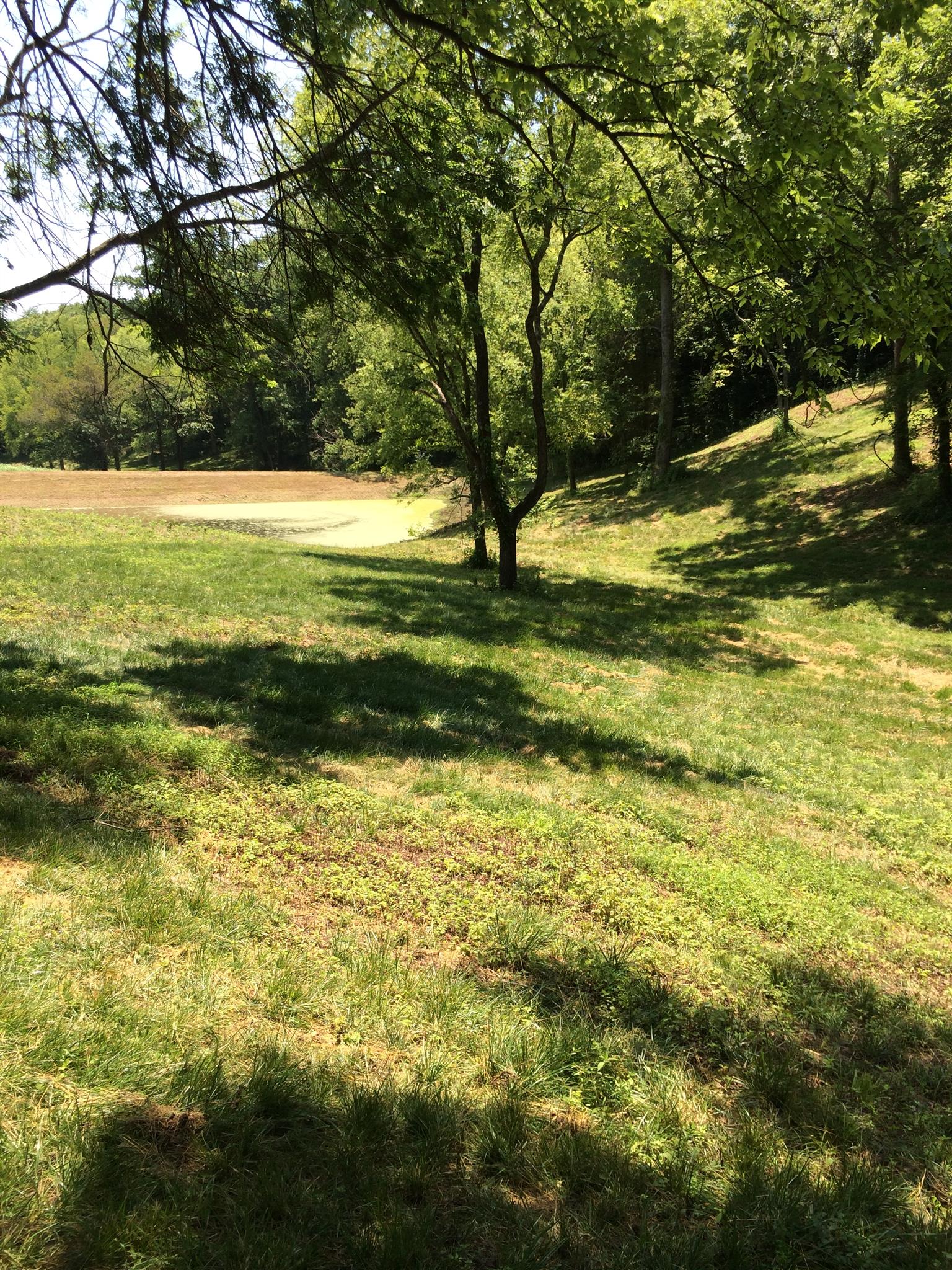 6448 Nathan Smith Road College Grove, TN 37046 - Photo 2 of 13 a view of a yard with swimming pool