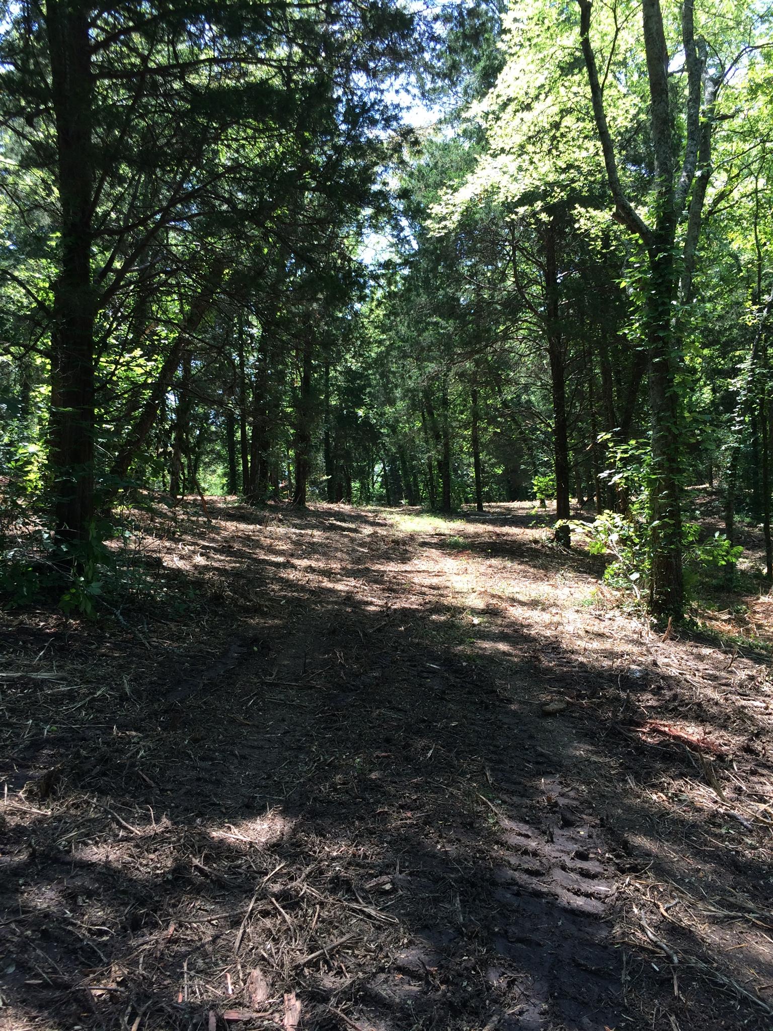 6448 Nathan Smith Road College Grove, TN 37046 - Photo 5 of 13 a view of outdoor space with trees all around